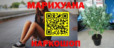 хмурый Тула