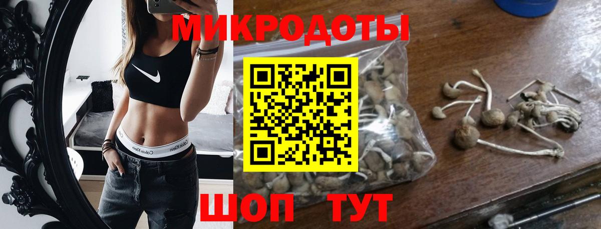 Псилоцибиновые грибы мухоморы  Вход с VPN  купить наркотик  Хабаровск 